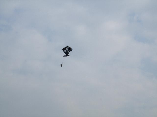 DSCF1286.JPG